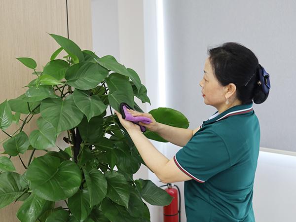 你真的了解保潔嗎？