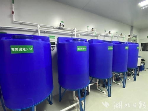 城市農(nóng)業(yè)新探索 武漢發(fā)電廠與玻璃鋼生物除臭箱的共生氣象